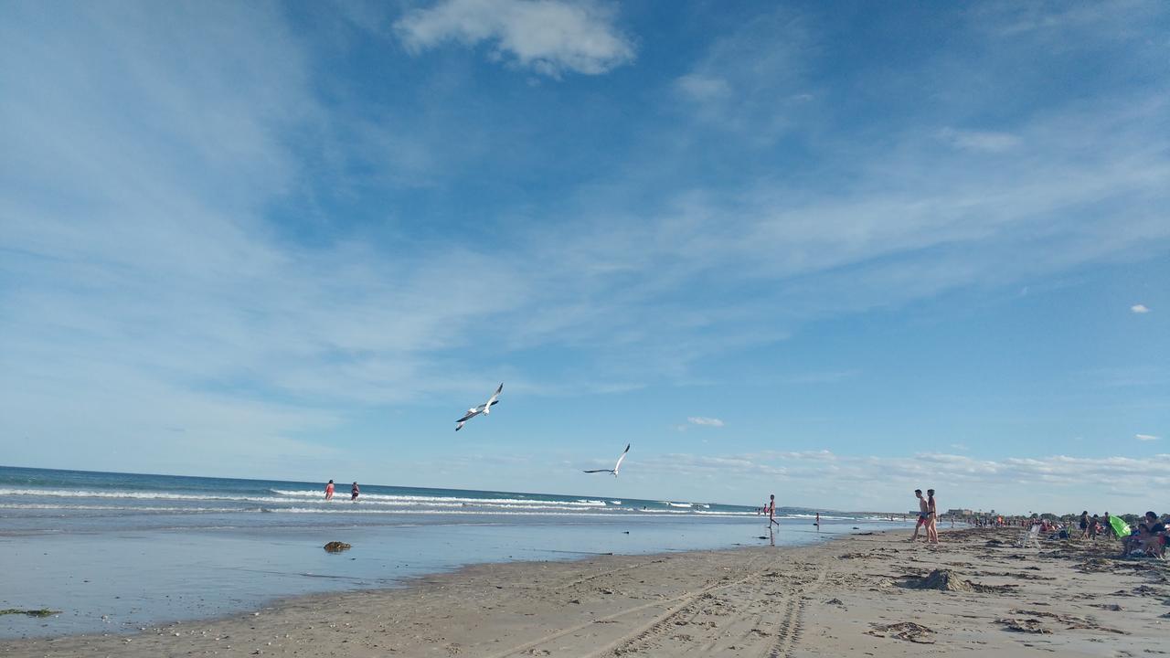 Complejo Departamentos Bepe Frente Al Mar Playas Doradas